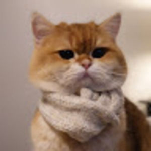 Meet your Posher, Charlie